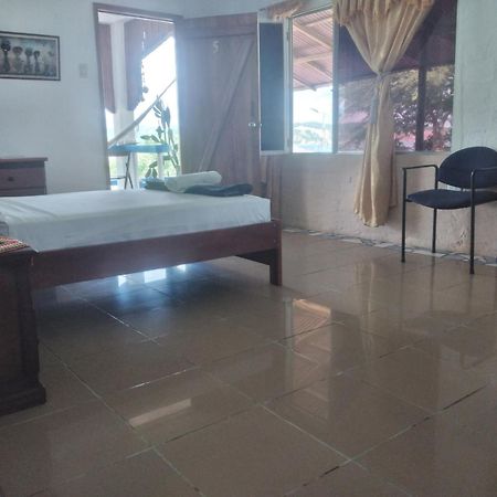 Hospedaje Algarrobo มิาชาลิญา ภายนอก รูปภาพ