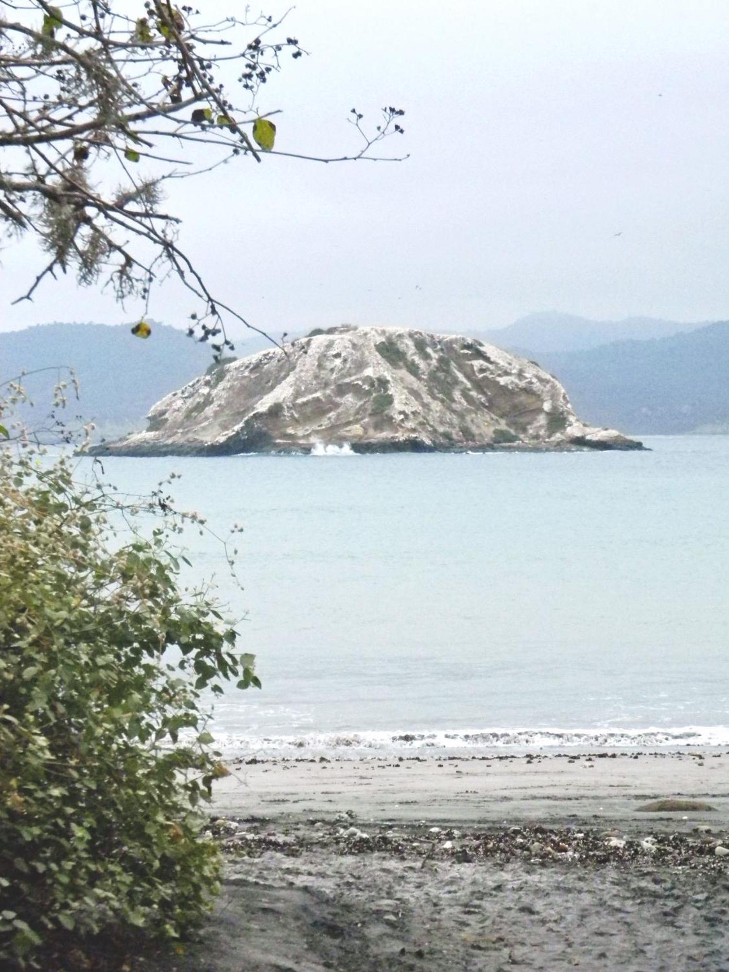 Hospedaje Algarrobo มิาชาลิญา ภายนอก รูปภาพ
