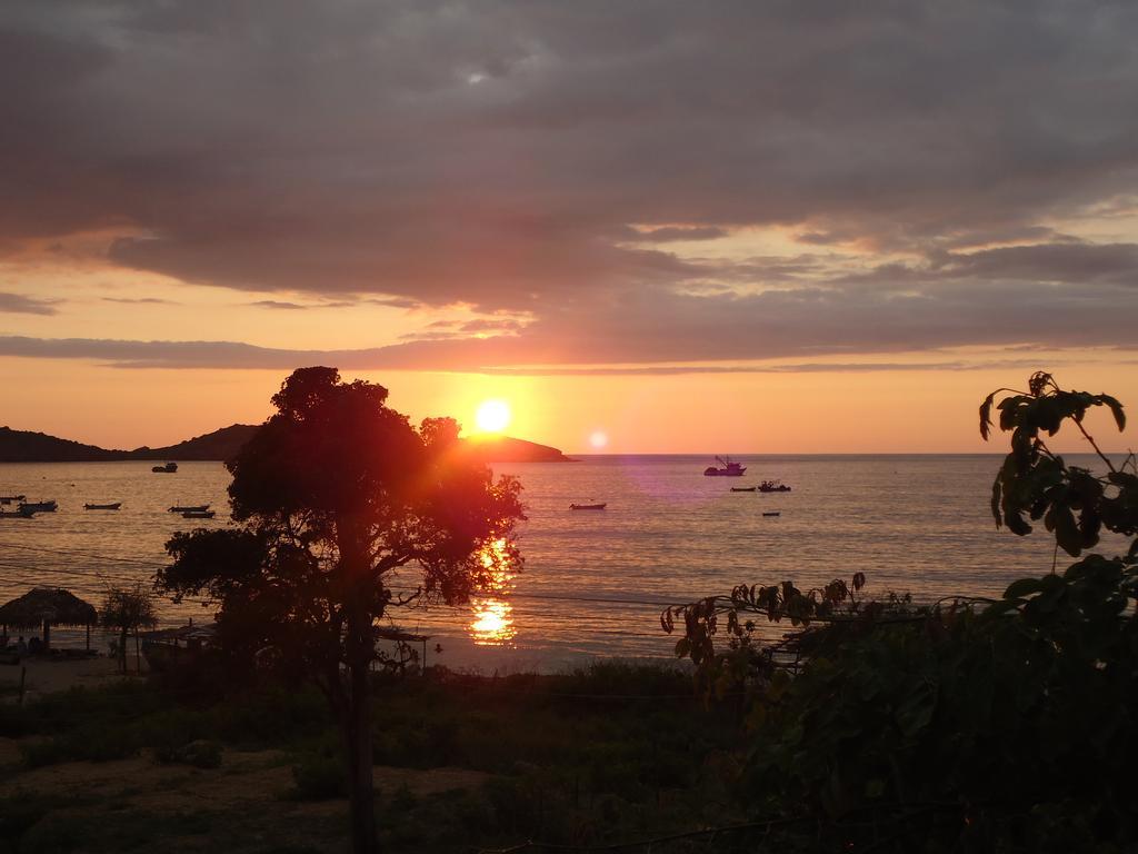 Hospedaje Algarrobo มิาชาลิญา ภายนอก รูปภาพ