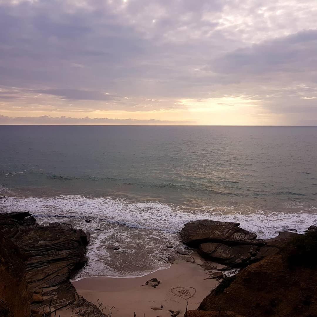 Hospedaje Algarrobo มิาชาลิญา ภายนอก รูปภาพ