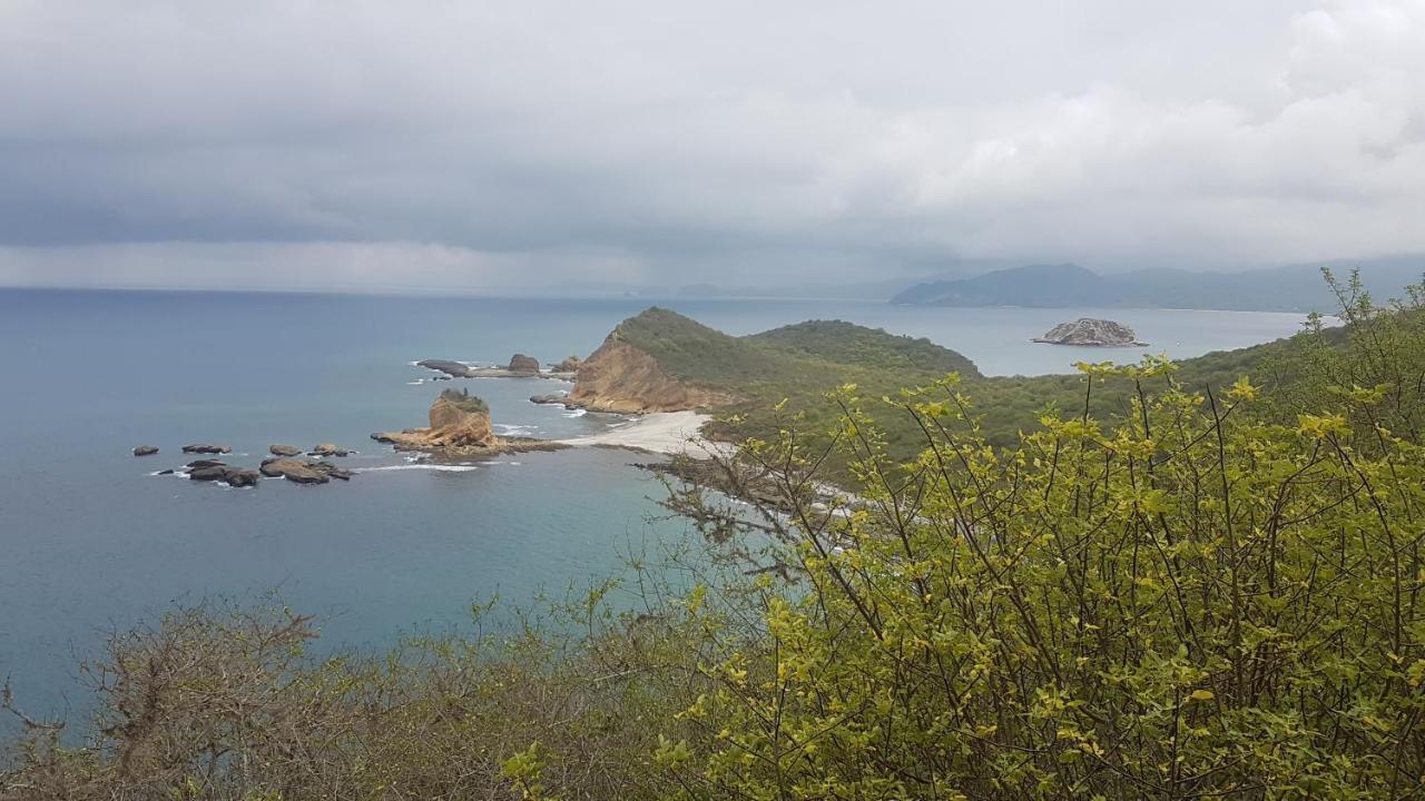 Hospedaje Algarrobo มิาชาลิญา ภายนอก รูปภาพ