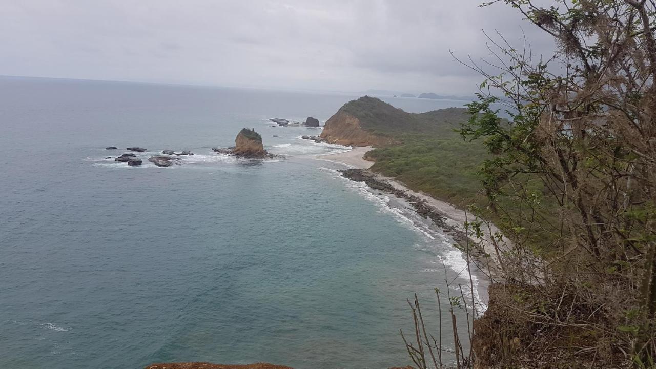 Hospedaje Algarrobo มิาชาลิญา ภายนอก รูปภาพ