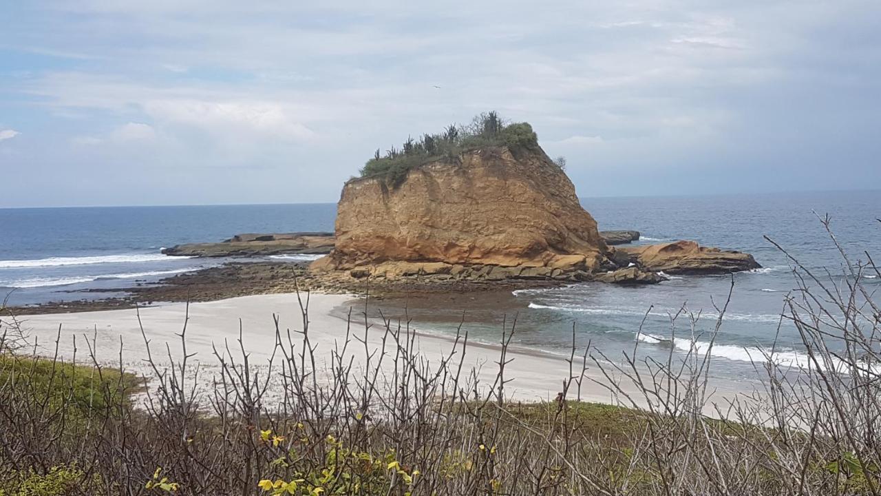 Hospedaje Algarrobo มิาชาลิญา ภายนอก รูปภาพ