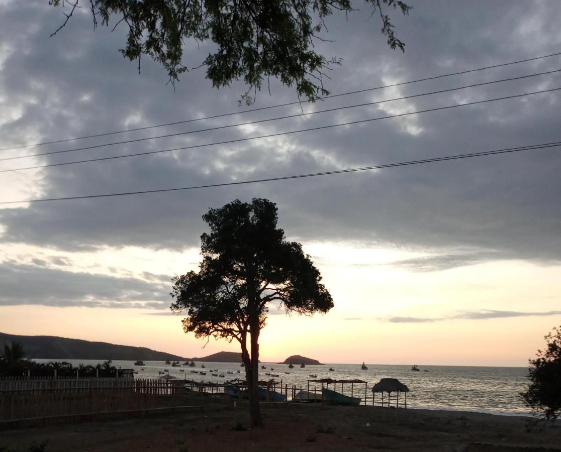 Hospedaje Algarrobo มิาชาลิญา ภายนอก รูปภาพ